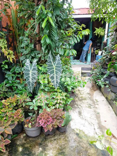 image RUMAH MURAH HITUNG TANAH STRATEGIS DI JLN PERINTIS KEMERDEKAAN  (1)