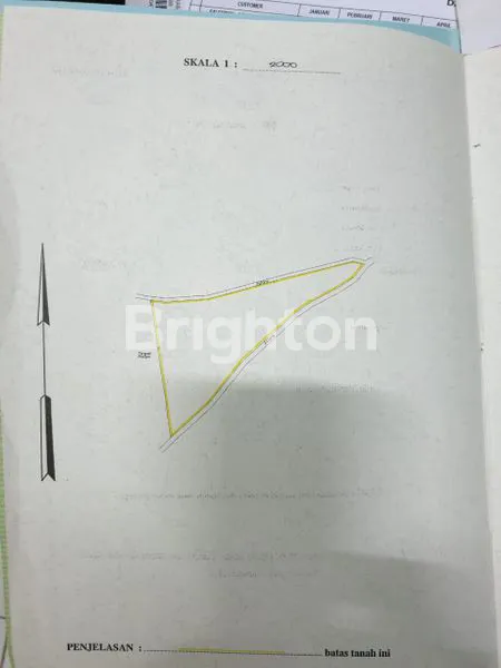 image TANAH KEBUN JATI BONDOWOSO (2)