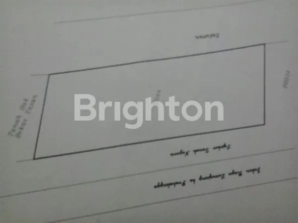 image TANAH DI PROBOLINGGO (2)