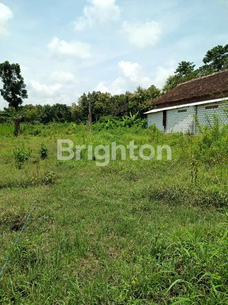 image JUAL TANAH DI NOL JALAN RAYA PROPINSI (4)