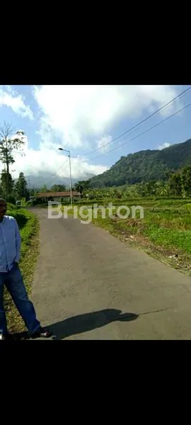 image TANAH NOL JALAN TRAWAS LOKASI STRATEGIS (1)