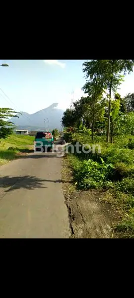 image TANAH NOL JALAN TRAWAS LOKASI STRATEGIS (3)