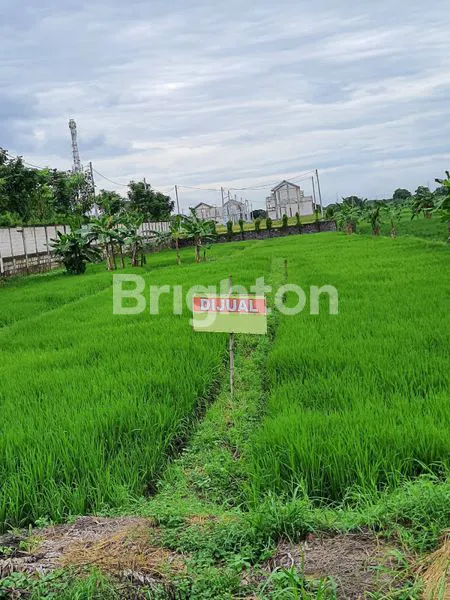 TANAH DI DRIYOREJO GRESIK