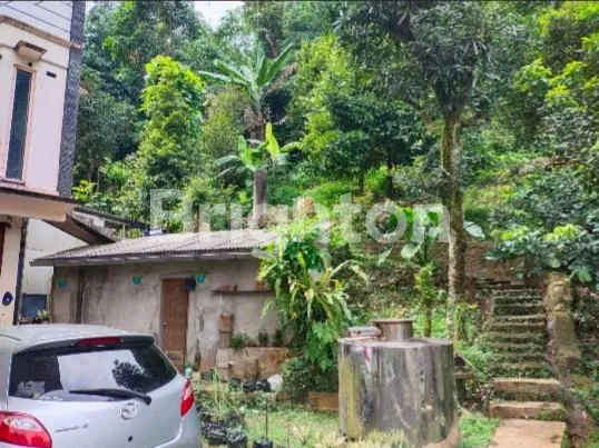 image RUMAH TINGGAL DAN KEBUN SIAP HUNI DI SINDANG BARANG BOGOR (4)