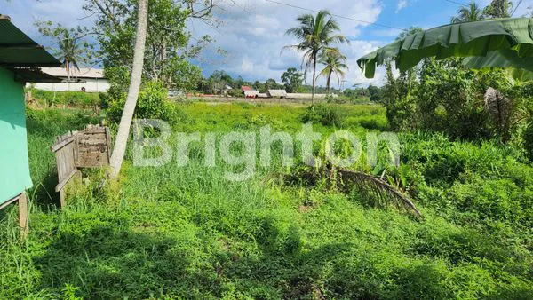 image TANAH LUAS DI JALAN GRIYA MUKTI (3)