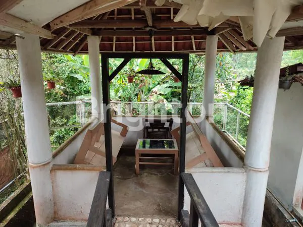 image RUMAH LUAS ASRI HITUNG TANAH DAERAH SEJUK (6)