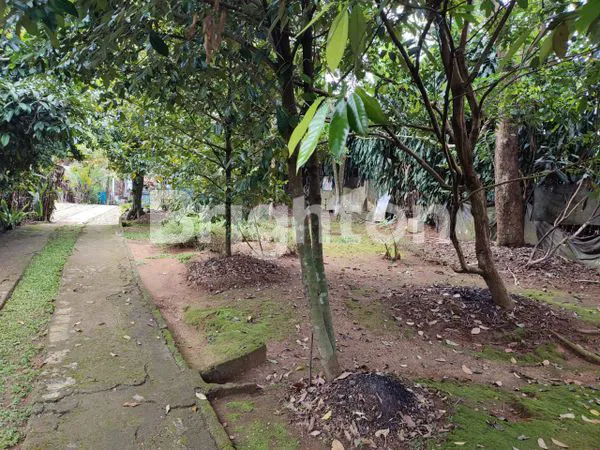 image RUMAH LUAS ASRI HITUNG TANAH DAERAH SEJUK (4)