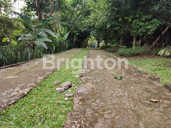 image RUMAH LUAS ASRI HITUNG TANAH DAERAH SEJUK (8)