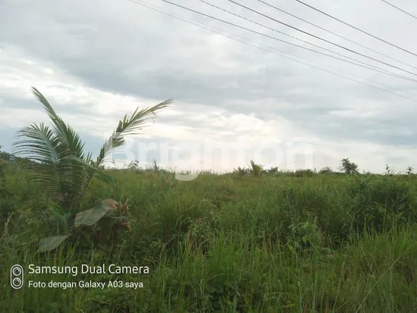 image TANAH LUAS DI PINGGIR  JALAN BESAR DEKAT IKN (3)