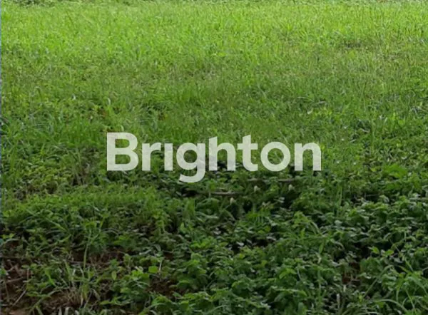 image KAVLING HOOK SIAP BANGUN CITRALAND CIBUBUR CLUSTER  MONTERREY (1)