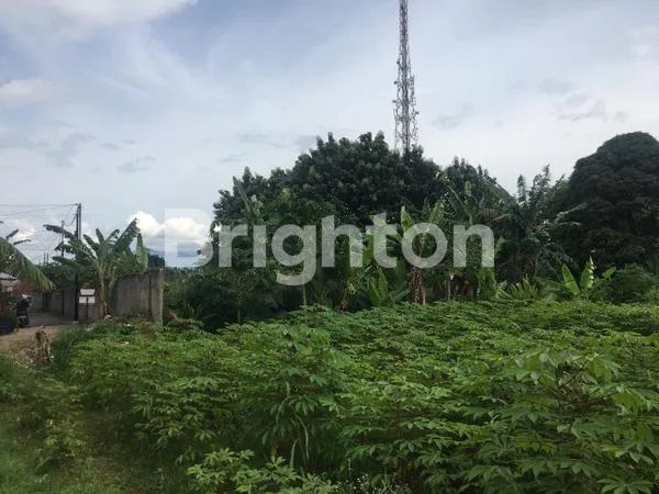 image TANAH DI BAWAH HARGA PASARAN COCOK UNTUK INVEST (6)