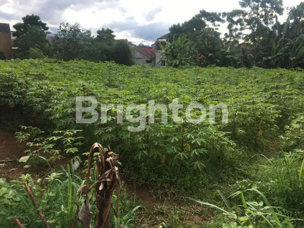 image TANAH DI BAWAH HARGA PASARAN COCOK UNTUK INVEST (7)