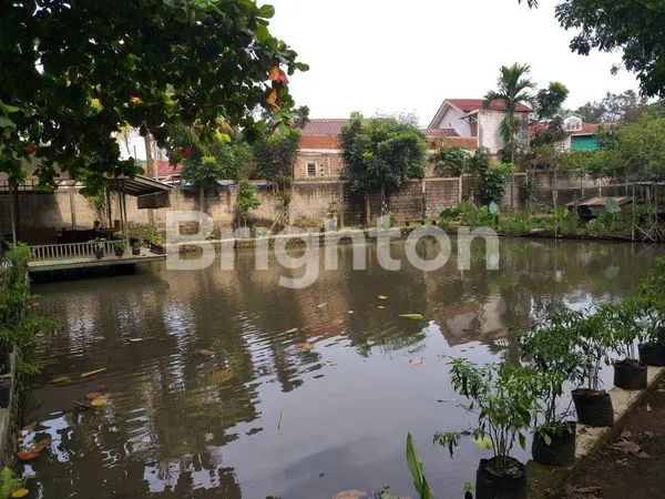 image RUMAH LUAS BONUS KOLAM HITUNG TANAH DI SINDANGBARANG BOGOR (1)