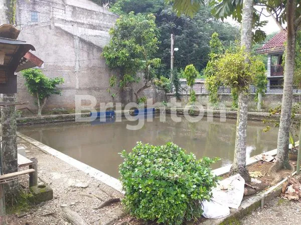 image RUMAH LUAS BONUS KOLAM HITUNG TANAH DI SINDANGBARANG BOGOR (3)