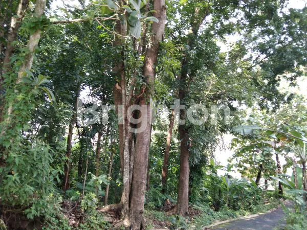 image TANAH AREA PERUMAHAN: TAMAN BERINGIN ELOK, BALE NIRVANA, GRIYA LESTARI NGALIYAN. SELANGKAH TOL SEMARANG BATANG. (2)