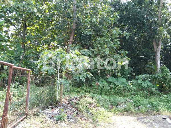 image TANAH AREA PERUMAHAN: TAMAN BERINGIN ELOK, BALE NIRVANA, GRIYA LESTARI NGALIYAN. SELANGKAH TOL SEMARANG BATANG. (3)
