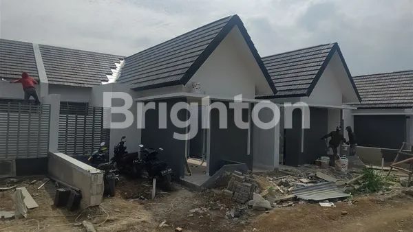 image TYPE 41 THE ROYAL HARMONI (2)