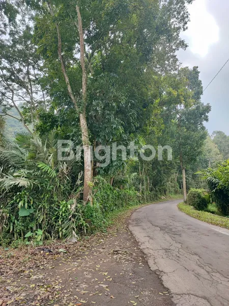 image TANAH TRAWAS BERBUKIT BONUS HUTAN COCOK UNTUK SEKELAS CIMORY (4)