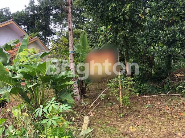 image JUAL TANAH DI PANDEGLANG (3)