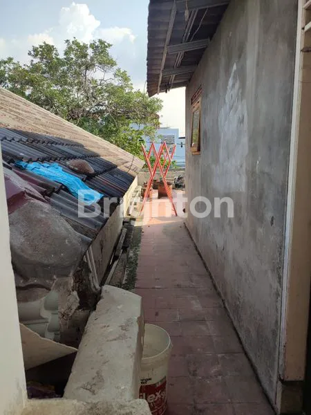 image DUREN SAWIT (5)