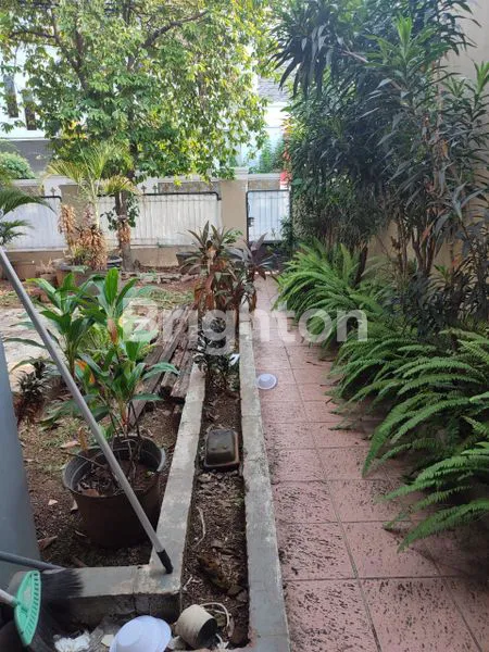 image DUREN SAWIT (8)