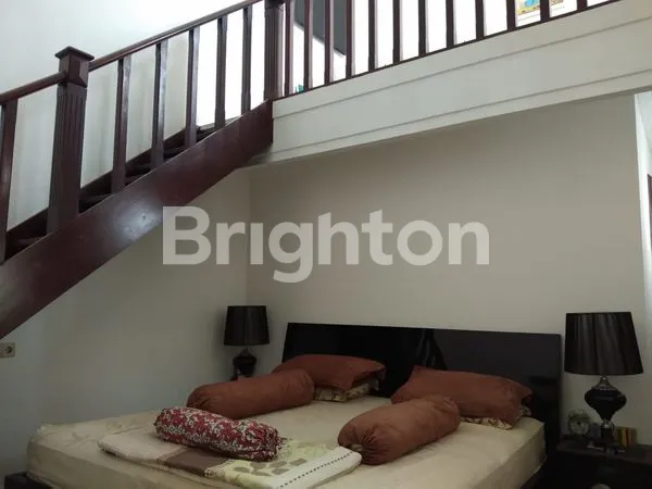 image PUCANG ANOM  (2)