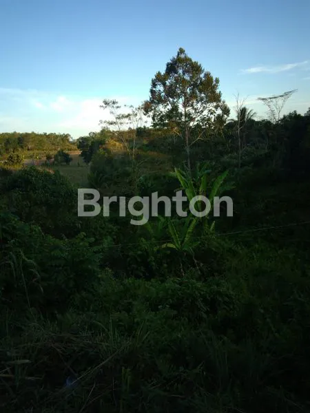 image TANAH RATA SIAP BANGUN  DI JALAN MERDEKA SAMBOJA KM38 (2)