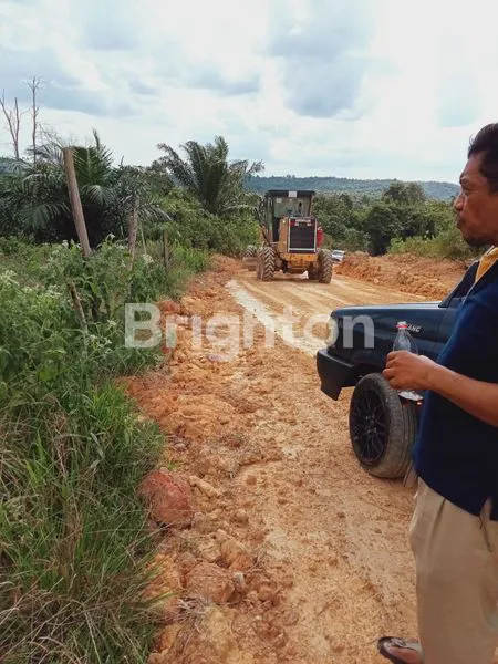 image TANAH RATA SIAP BANGUN  DI JALAN MERDEKA SAMBOJA KM38 (3)