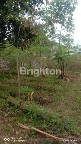 image TANAH KAPLING SIAP BANGUN DI PUDAK PAYUNG SEMARANG (3)