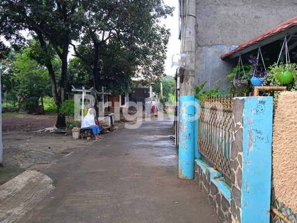 image RUMAH ANTI BANJIR (4)