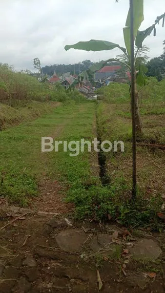 image TANAH PEKARANGAN DI JL.DAWUNG PUDAK PAYUNG SEMARANG (3)