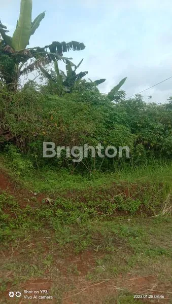 image TANAH PEKARANGAN DI KAMPUNG DAWUNG PUDAK PAYUNG SEMARANG (4)