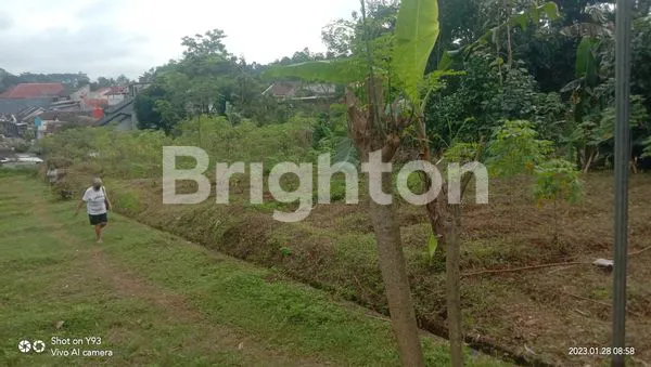 image TANAH PEKARANGAN DI KAMPUNG DAWUNG PUDAK PAYUNG SEMARANG (5)