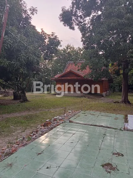 DAPAT TANAH  JUGA RUMAH KAYU JATI DAN POHON JATI, LOKASI GROBOGAN PURWODADI