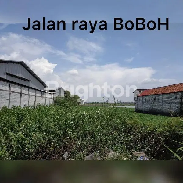 image TANAH DI RAYA BOBOH  (1)