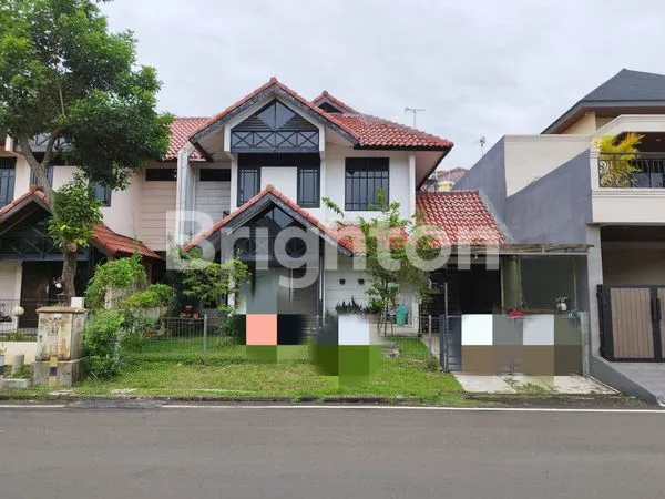 image PALEM KUNING, PALEM SEMI , KELAPA DUA TANGERANG  (1)