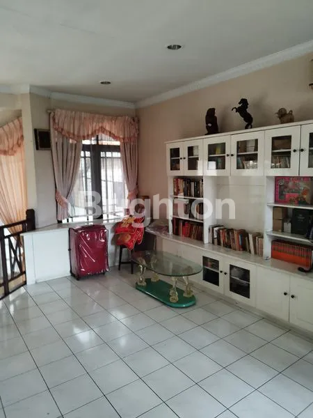 image PALEM KUNING, PALEM SEMI , KELAPA DUA TANGERANG  (2)