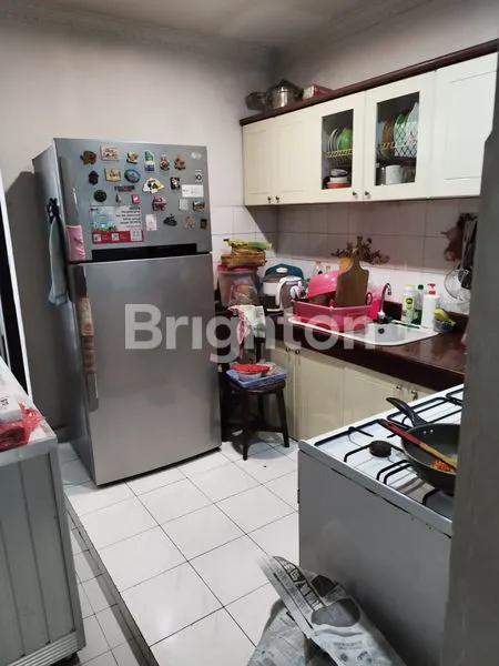 image PALEM KUNING, PALEM SEMI , KELAPA DUA TANGERANG  (5)