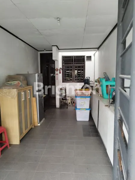 image PALEM KUNING, PALEM SEMI , KELAPA DUA TANGERANG  (6)