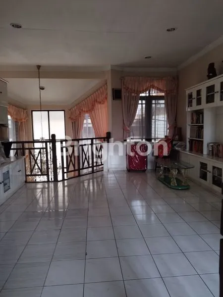 image PALEM KUNING, PALEM SEMI , KELAPA DUA TANGERANG  (7)