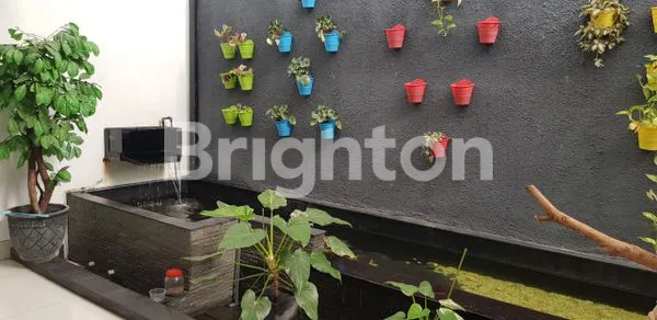 image BUKIT PALMA CLASSICA  (3)