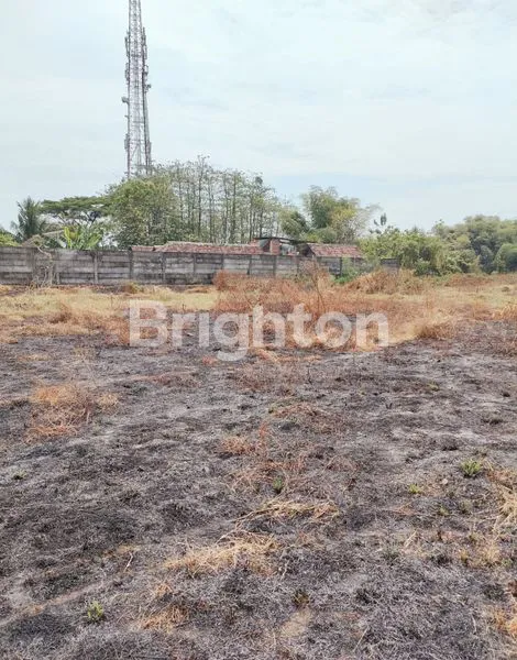 TANAH BORONGAN NOL JALAN PROVINSI, DEKAT DEGAN EXIT TOL