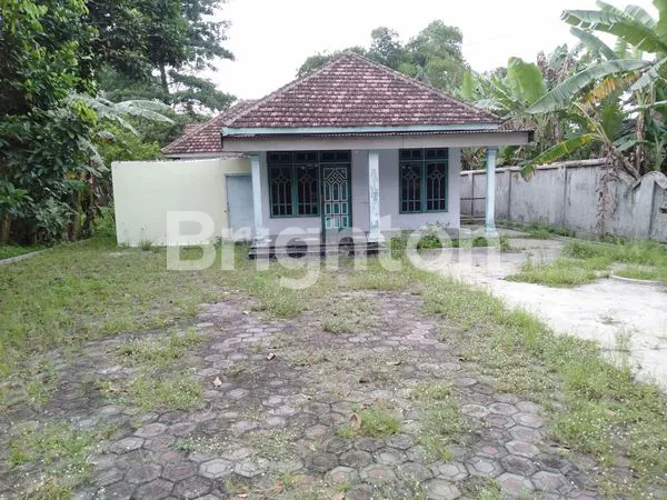 image RUMAH + TANAH LUAS DI PETERONGAN - MOJOAGUNG (6)