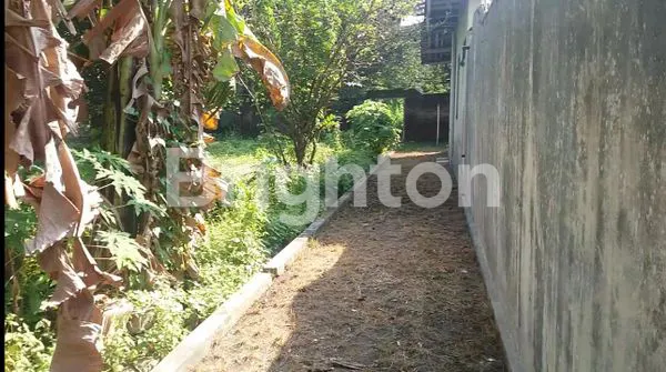 image RUMAH + TANAH LUAS DI PETERONGAN - MOJOAGUNG (5)