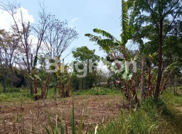 image TURUN HARGA!!! KAVLING MURAH SHM TERLETAK DI DEKAT RUMAH SAKIT BAPTIS BATU (4)