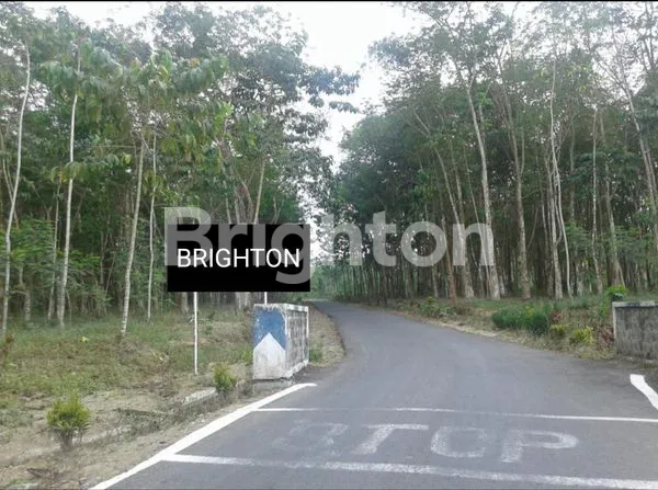 image TANAH SHGU TERMURAH DI BLITAR! COCOK BUAT SEMUA USAHA  (2)