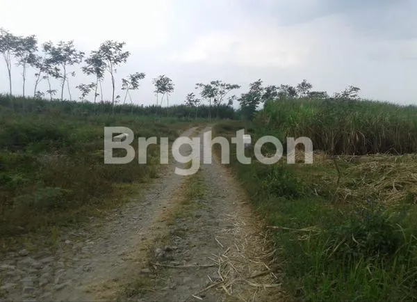 image TANAH SHGU TERMURAH DI BLITAR! COCOK BUAT SEMUA USAHA  (1)