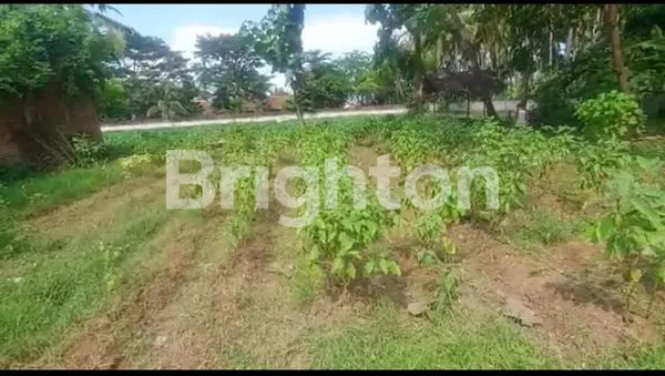 image TANAH DEKAT PELABUHAN TANJUNGWANGI (AKAN DIJADIKAN PELABUHAN INTERNASIONAL)BANYUWANGI (1)