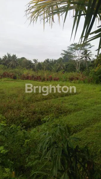 TANAH 39 ARE HADAP BARAT BANGLI