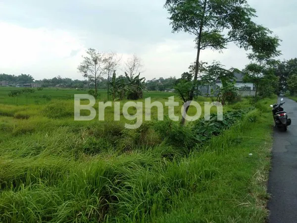 SAWAH / TANAH KOSONG DI BELAKANG PT PEI HAI PETERONGAN
